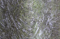 Kirkpatrick Durham fibreglass roof work